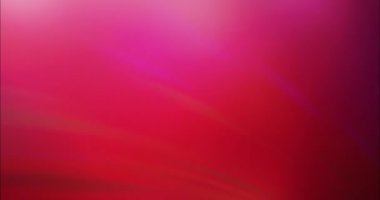 4K döngü koyu pembe bulanık görüntü.