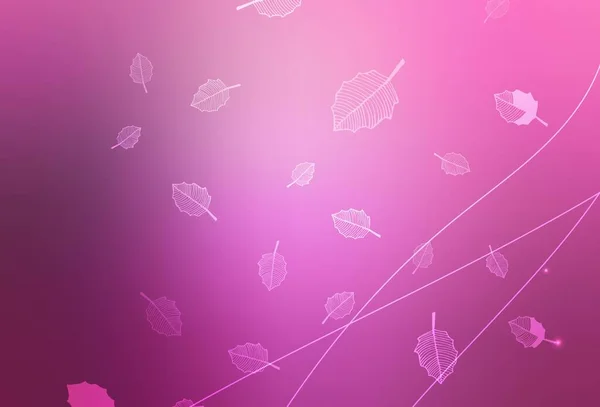 Light Pink Vector Abstract Design Trees Branches Flowers Gradient White — 图库矢量图片