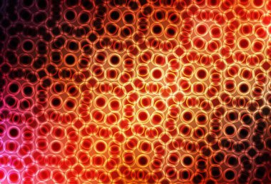 Noktalı koyu kırmızı vektör arkaplanı. Doğa tarzında bulanık halkaları olan güzel renkli çizimler. Reklamlar, broşürler için desen.