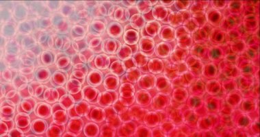 Animasyon hareketli slayt gösterisi döngüsü. Döndürme biçiminde yüksek kaliteli klip eğimli