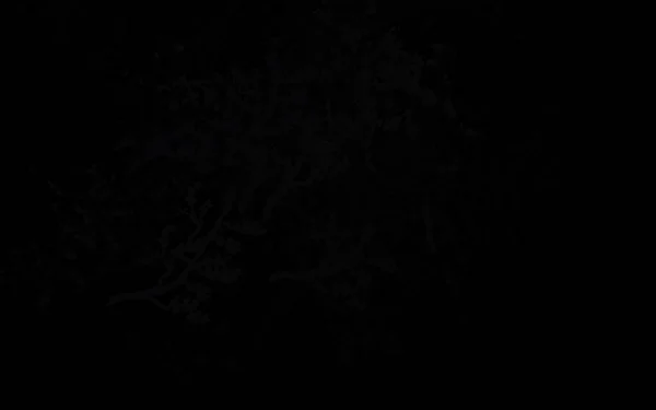 Темно Серый Вектор Дизайна Деревьями Ветками Дудл Иллюстрация Деревьями Стиле — стоковый вектор