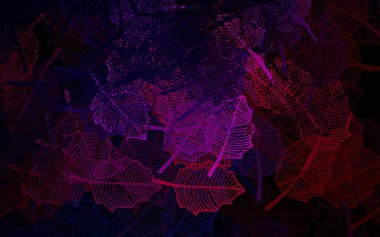 Koyu pembe, kırmızı vektör doğal yaprak işi. Yapraklı soyut illüstrasyon, karalama tarzında çiçekler. Tasarımınız için yeni şablon.