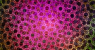 Animasyon hareketli slayt gösterisi döngüsü. Döndürme biçiminde yüksek kaliteli klip eğimli