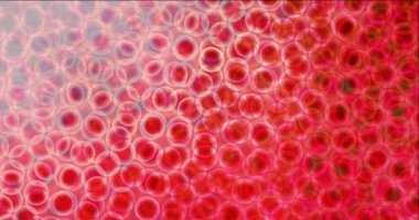 Animasyon hareketli slayt gösterisi döngüsü. Döndürme biçiminde yüksek kaliteli klip eğimli