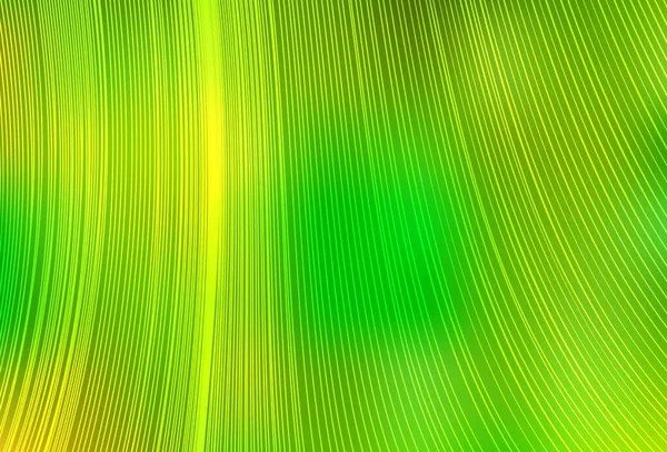 Hellgrüne Gelbe Vektortextur Mit Farbigen Linien Moderne Geometrische Abstrakte Illustration — Stockvektor