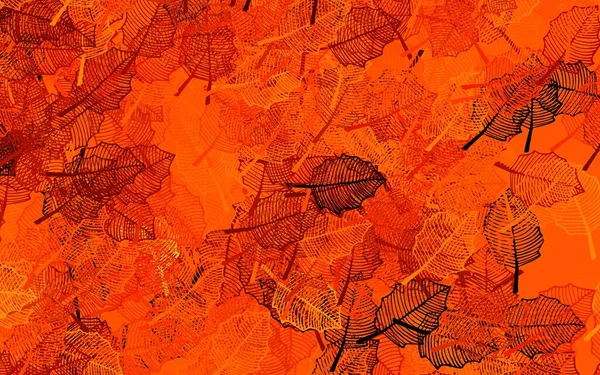 Fond Doodle Vecteur Orange Foncé Avec Des Feuilles Illustration Décorative — Image vectorielle