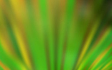 Açık yeşil, düz çizgileri olan sarı vektör arkaplan. Bulanık arkaplanda gradyanı olan çizgiler. Reklam, kitapçıklar, broşürler için desen.