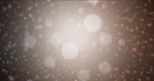 Xmas Tarzında Işık Akışı Videosu Değişen Yıldızlı Renkli Moda Klibi — Stok video