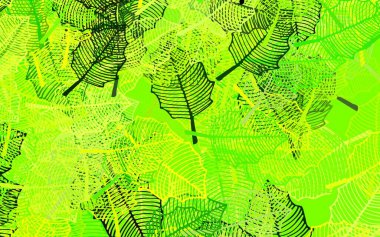 Koyu yeşil, sarı vektör karalama düzeni ve yapraklar. Yapraklı modern geometrik soyut çizim. Tasarımınız için yeni şablon.