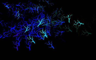 Koyu renkli vektör arkaplanı yapraklarla, dallarla karalıyor. Yapraklar ve dallarla bulanık şekilli yaratıcı illüstrasyon. Markan için şık bir model..