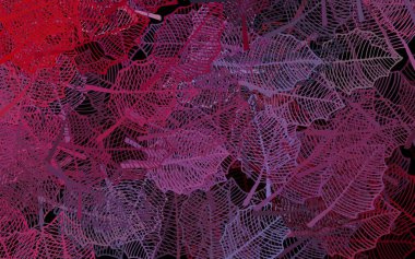 Koyu pembe, yapraklı kırmızı vektör karalama deseni. Yapraklar ve çiçeklerle yepyeni renkli bir illüstrasyon. Markan için şık bir model..