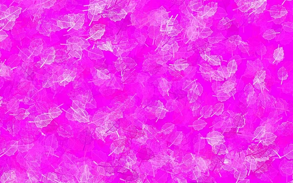 Φως Ροζ Διάνυσμα Φυσικό Φόντο Φύλλα Μια Κομψή Φωτεινή Απεικόνιση — Διανυσματικό Αρχείο