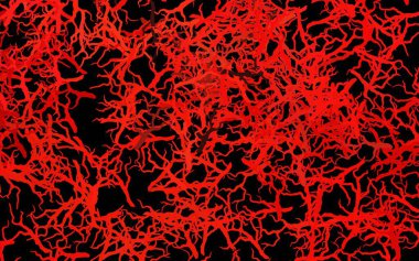 Koyu kırmızı vektör doğal arka plan, yapraklar, dallar. Beyaz arka planda gradyanı olan yapraklar ve dallar. İşiniz için yepyeni bir tasarım..