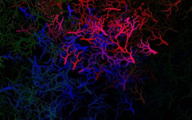 Koyu pembe, yapraklı, dallı yeşil vektör deseni. Beyaz arka planda gradyanı olan yapraklar ve dallar. Çocuk kitapları için renkli desen.