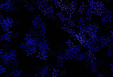 Yapay zeka yapısına sahip koyu mavi vektör şablonu. Yapay zekanın bağlantı ve noktalarıyla soyut illüstrasyon. Teklif verilerinin tanıtımı için akıllı tasarım.