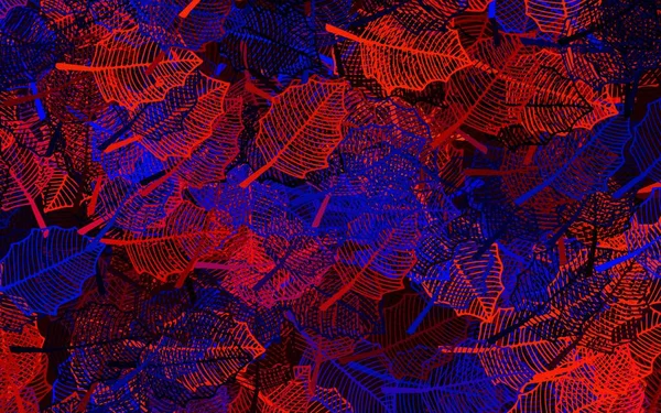 ダークブルー 赤ベクトルのエレガントな背景と葉 ドードル型の葉を持つ曖昧な抽象的なイラスト デザインの新しいテンプレート — ストックベクタ