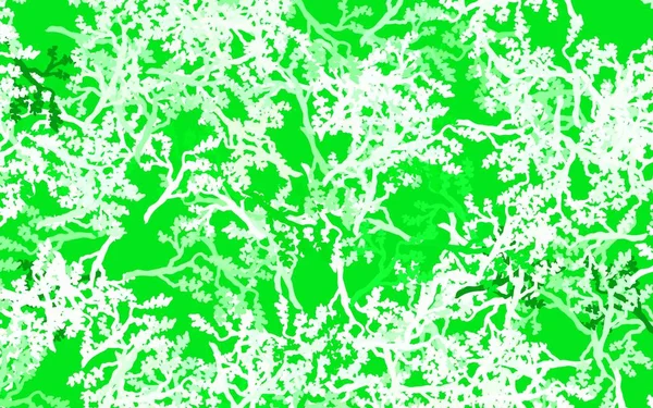 浅绿色矢量涂鸦布局与叶子 叶和枝在白色背景上有梯度 设计的新模板 — 图库矢量图片
