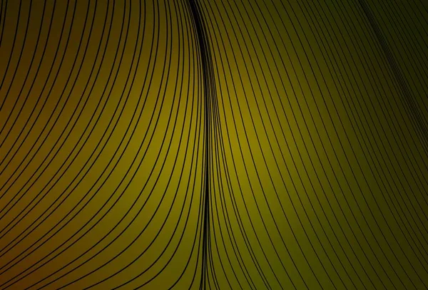 Koyu Yeşil Kıvrımlı Sarı Vektör Şablonu Eğilimli Soyut Bir Çizim — Stok Vektör