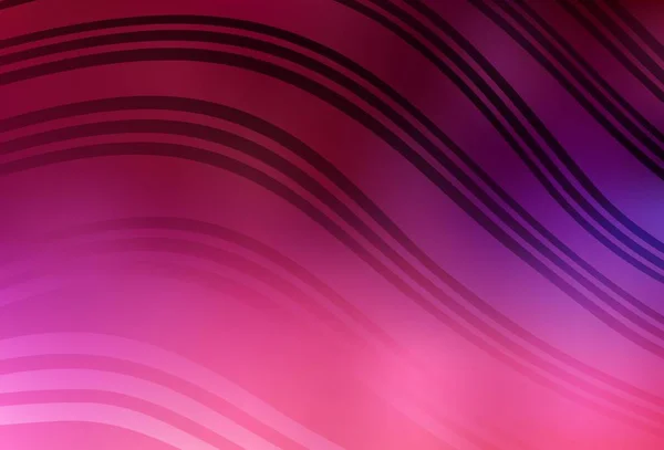 Dark Purple Fundo Vetor Rosa Com Linhas Iradas Ilustração Colorida — Vetor de Stock