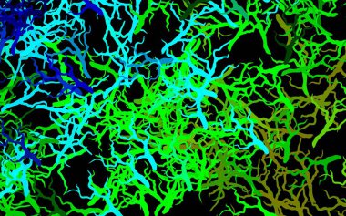 Koyu mavi, yeşil vektör karalama arkaplanı yapraklarla, dallarla. Yapraklar ve dallarla bulanık şekilli yaratıcı illüstrasyon. Tasarımınız için yeni şablon.