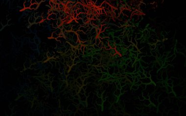 Koyu yeşil, kırmızı vektör doğal zemin, yapraklı, dallı. Yapraklar ve dallarla gösterişli soyut çizimler. Tasarımınız için yeni şablon.