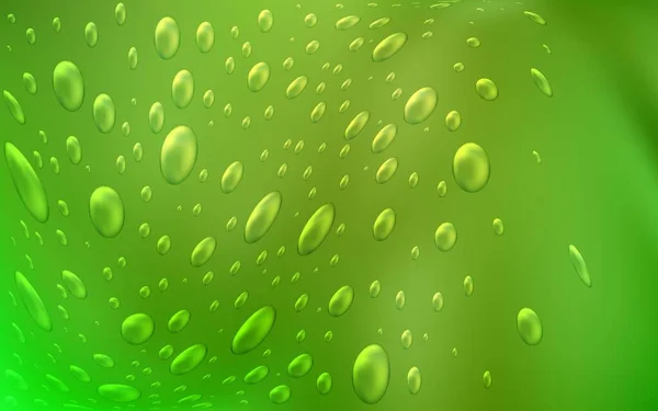 Светло Зеленый Желтый Векторный Фон Точками Размытые Пузыри Абстрактном Фоне — стоковый вектор