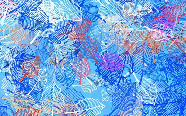 Bleu Clair Vecteur Jaune Fond Élégant Avec Des Feuilles Une — Image vectorielle