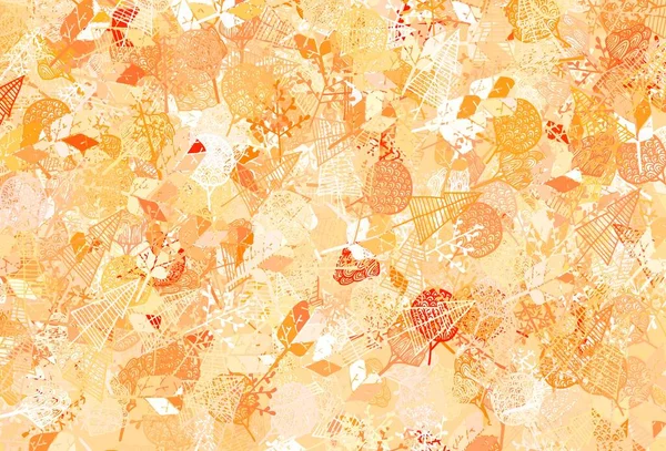 Light Orange Fundo Vetor Doodle Com Árvores Galhos Árvores Coloridas — Vetor de Stock