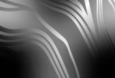 Eğri çizgileri olan açık gri vektör düzeni. Alnında çizgiler olan soyut bir çizim. Posterler ve afişler için iş tasarımı.