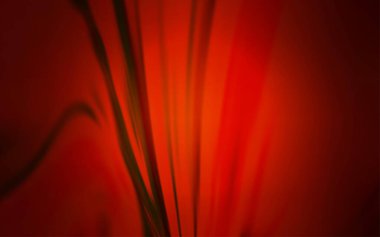 Koyu kırmızı vektör parlak şablonu bulanıklaştırdı. Eğilimli zarif, parlak bir çizim. İşiniz için en iyi bulanık tasarım..