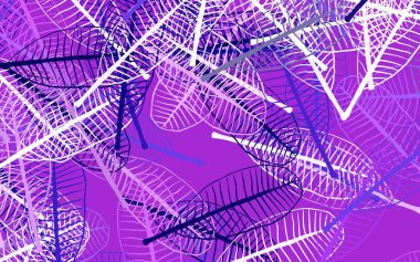 Açık Mor, yapraklı pembe vektör deseni. Yapraklar ve karalamalar ile soyut çizimler. Marka kitabınız için yeni şablon.