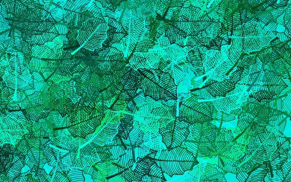Dunkelgrüner Vektor Natürlicher Hintergrund Mit Blättern Dekorative Illustration Mit Kritzeleien — Stockvektor