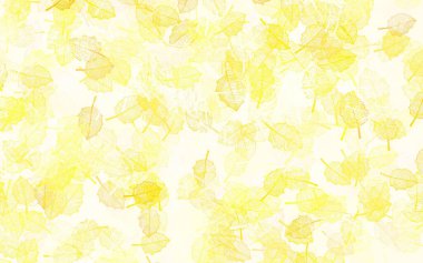 Hafif Turuncu vektör çizimi. Yapraklar ve çiçeklerle yepyeni renkli bir illüstrasyon. Markan için şık bir model..