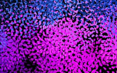 Koyu pembe, soyut şekilli mavi vektör arkaplan. Renkli rastgele şekillerle modern soyut illüstrasyon. Kartvizitiniz için modern tasarım.