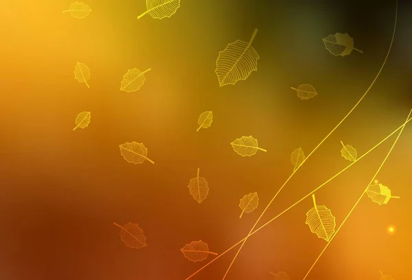 Σκούρο Πορτοκαλί Διάνυσμα Doodle Διάταξη Δέντρα Κλαδιά Λουλούδια Φυσικό Στυλ — Διανυσματικό Αρχείο