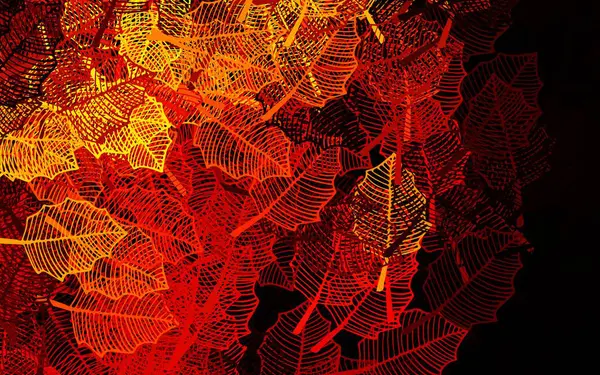 Темно Красная Желтая Векторная Раскладка Листьями Современная Абстрактная Иллюстрация Листьями — стоковый вектор