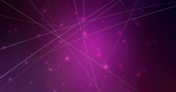 4K bucle púrpura oscuro, material de vídeo rosa con líneas planas. — Vídeo de stock