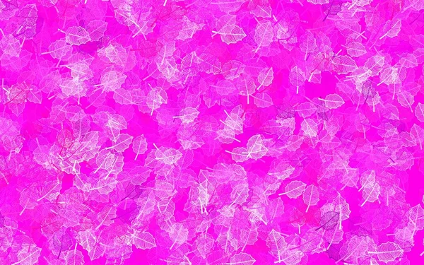 Ελαφρύ Ροζ Διάνυσμα Αφηρημένο Σχέδιο Φύλλα Πολύχρωμη Απεικόνιση Στυλ Doodle — Διανυσματικό Αρχείο