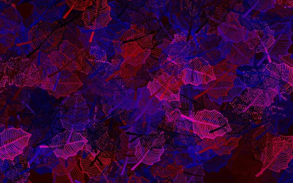 Azul Escuro Vetor Vermelho Arte Natural Com Folhas Ilustração Abstrata — Vetor de Stock