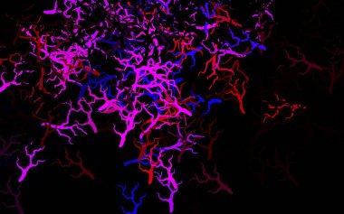 Lacivert, kırmızı vektör soyut arka plan yapraklar, dallar. Yaprakları karalama tarzında renkli ve soyut çizimler. Web ve broşürler için elle boyanmış tasarım.