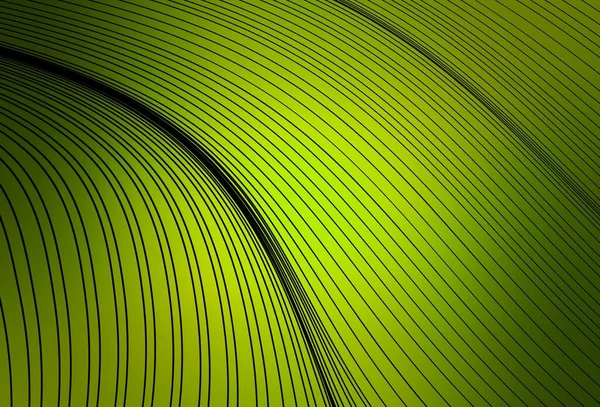 Ljusgrön Gul Vektor Layout Med Böjda Linjer Glitter Abstrakt Illustration — Stock vektor