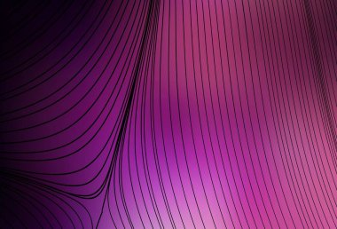 Koyu mor, eğri çizgileri olan pembe vektör arkaplan. Basit çizgilerle renkli gradyan çizimi. Markan için yeni kompozisyon.