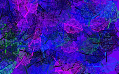 Koyu renkli vektör doğal arka plan ve yapraklar. Bulanık şekilli ve yapraklı yepyeni bir resim. Web sitesi yöneticileri ve tasarımları için desen.