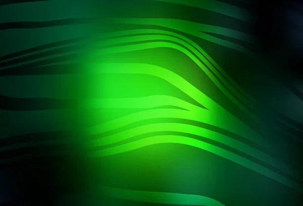 Fundo Vetorial Verde Escuro Com Linhas Curvas Ilustração Colorida Brilhante —  Vetores de Stock