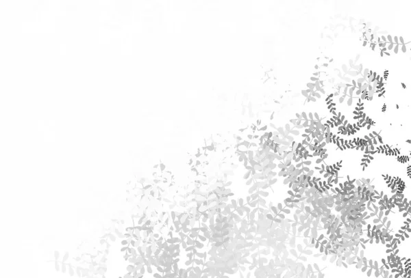 Світло Жовтий Векторний Каракулевий Фон Листям Нова Барвиста Ілюстрація Каракулі — стоковий вектор