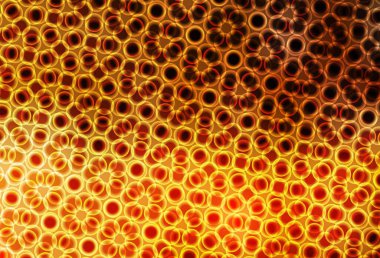 Kabarcıklı hafif turuncu vektör arka planı. Bulanık dekoratif tasarım baloncuklu soyut tarzda. Duvar kağıtlarının dokusu için desen.