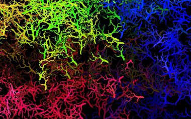 Koyu renkli, yaprakları ve dalları olan zarif bir şekil. Yapraklar ve dallarla bulanık şekilli yaratıcı illüstrasyon. Markan için şık bir model..