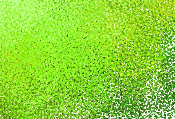 Verde Claro Fundo Vetor Amarelo Com Manchas Glitter Ilustração Abstrata — Vetor de Stock