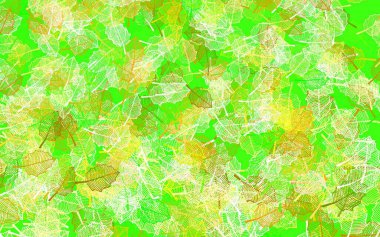 Açık yeşil, yapraklı kırmızı vektör karalama deseni. Beyaz arkaplandaki yapraklar ve çiçekler. Web siteleri ve pankartlar için desenli desen.