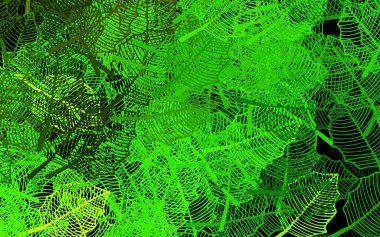 Koyu yeşil, sarı vektör karalama arkaplanı yapraklarla. Yaprakları ve çiçekleri olan parlak renkli bir illüstrasyon. Duvar kağıdı tasarımınız için yeni bir doku.